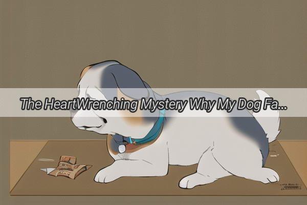 The HeartWrenching Mystery Why My Dog Failed to Save Me